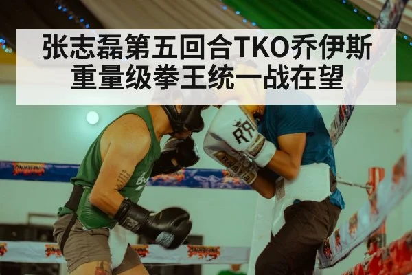 张志磊第五回合TKO乔伊斯 重量级拳王统一战在望