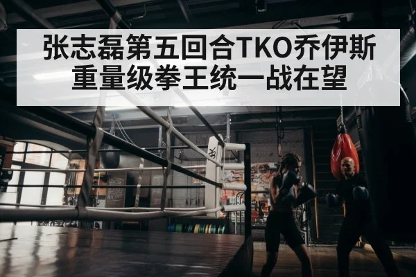 boxer training